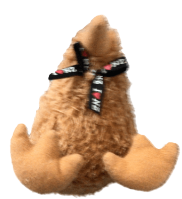 kiwi-chat.pages.dev favicon
